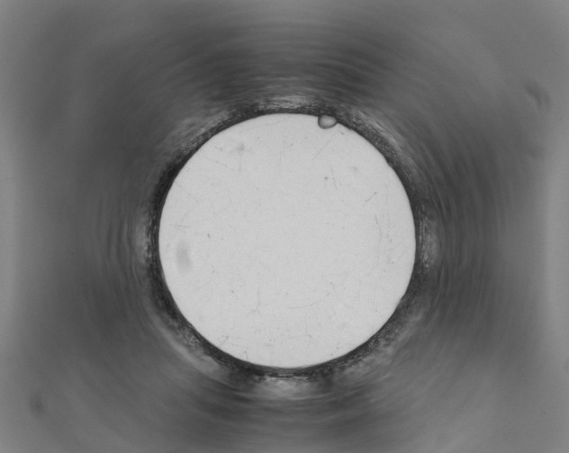 X0000111210455200908121136