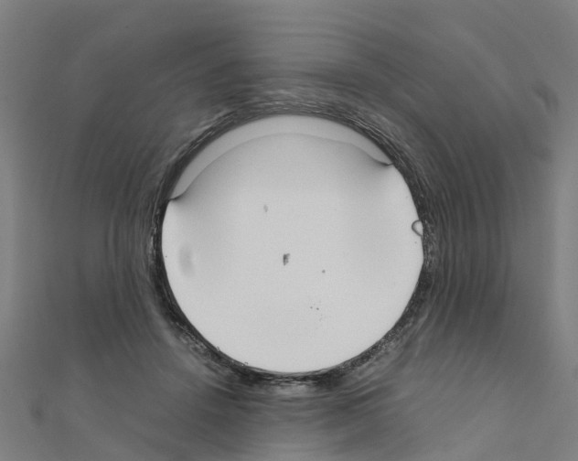 X0000111210456200908121136