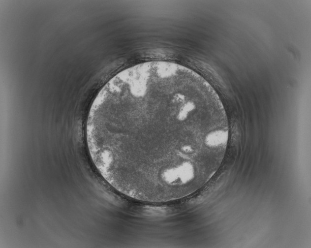 X0000111210457200908121136