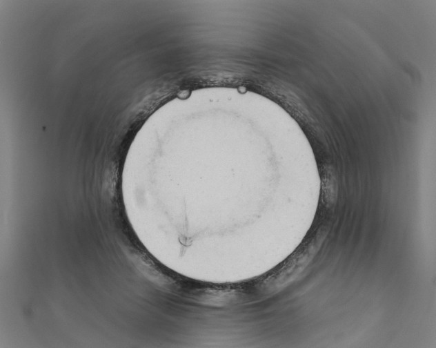 X0000111210458200908121136