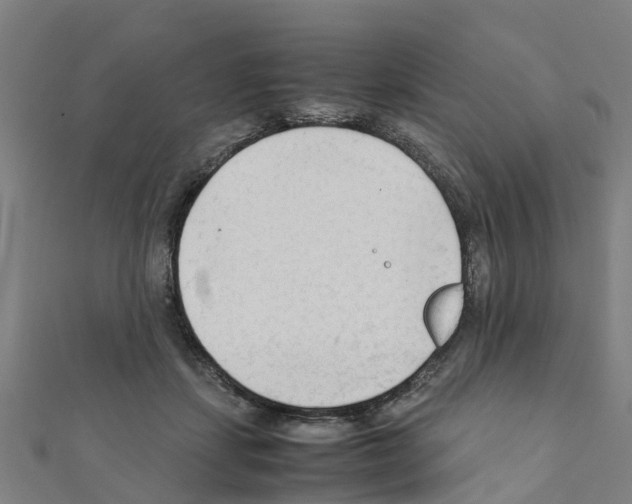 X0000111210459200908121136