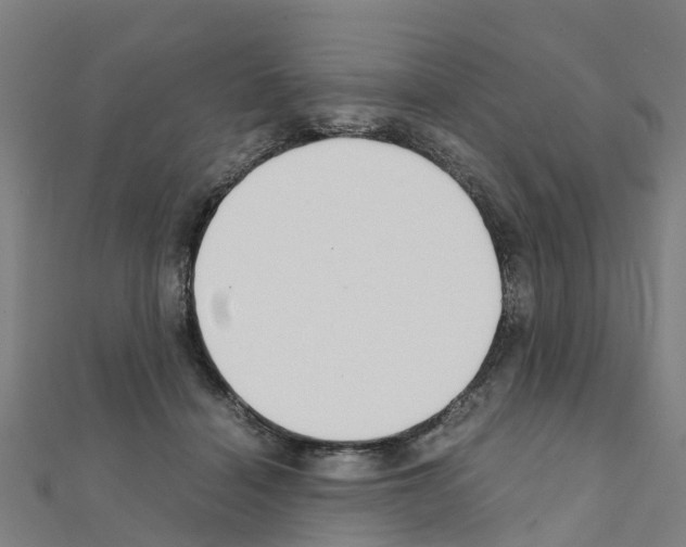 X0000111210460200908121136