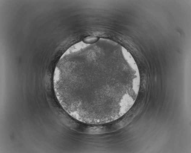 X0000111210461200908121136