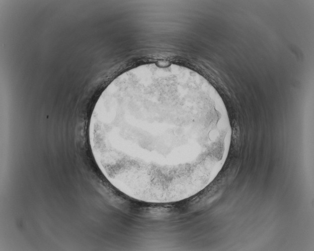 X0000111210462200908121136