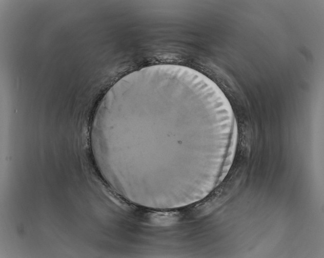 X0000111210465200908121136