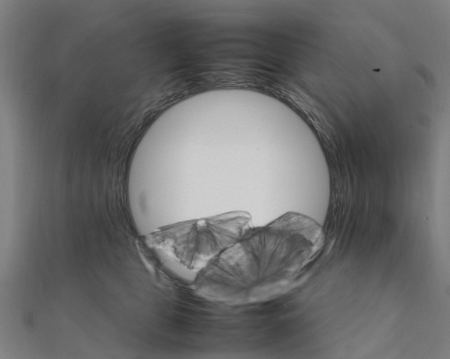 X0000111210469200908121136