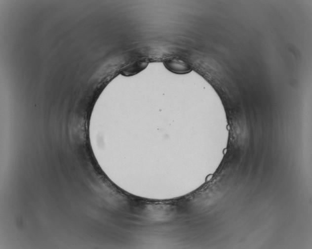 X0000111210470200908121136