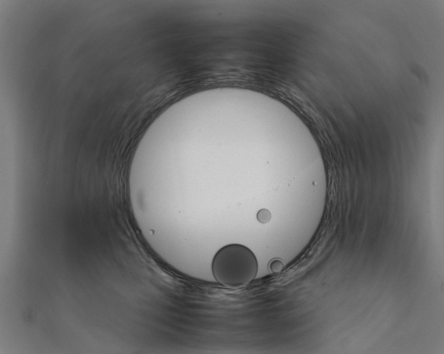 X0000111210471200908121136