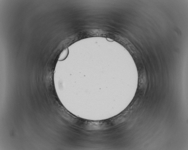 X0000111210473200908121136