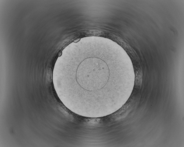 X0000111210474200908121136