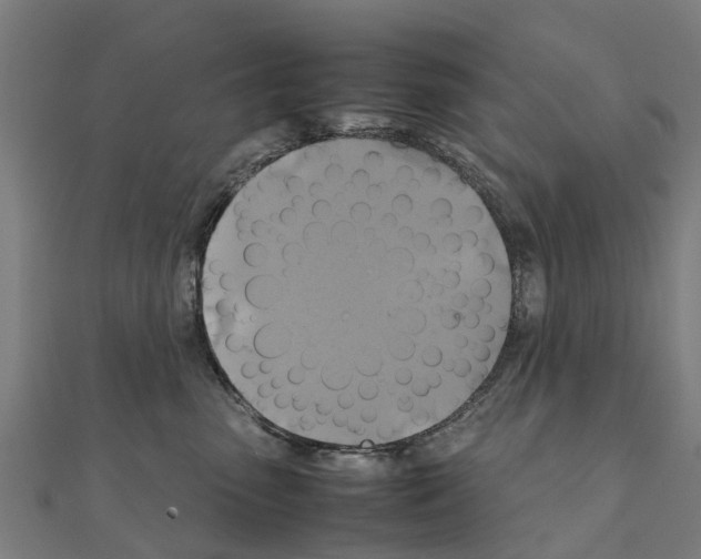 X0000111210475200908121136