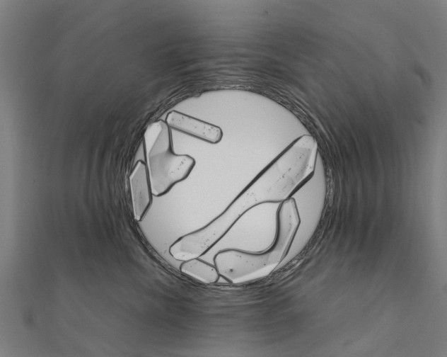 X0000111210476200908121136