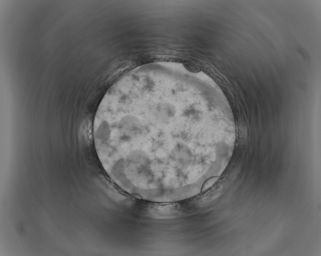 X0000111210479200908121136