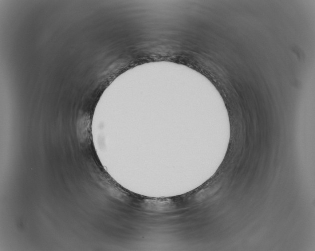 X0000111210480200908121136