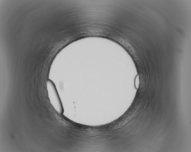 X0000111210481200908121135