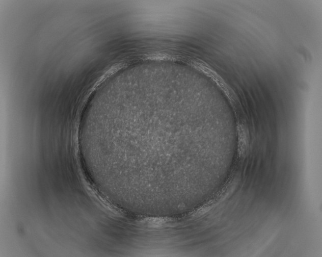 X0000111210482200908121135