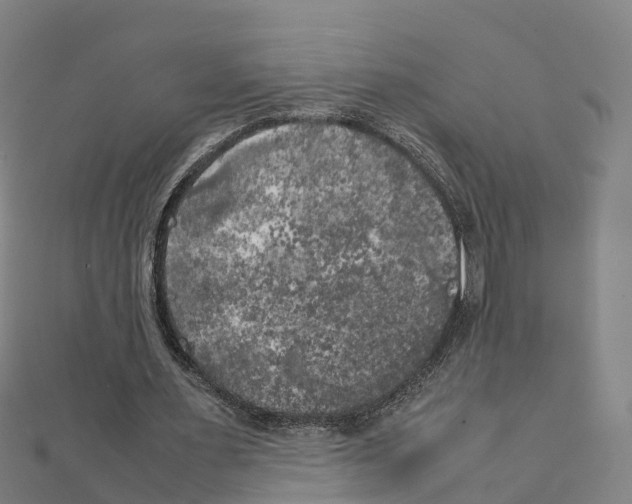 X0000111210483200908121135