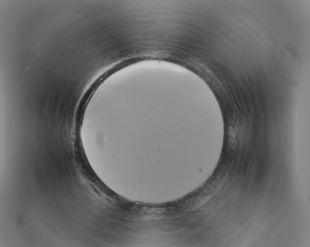 X0000111210484200908121135