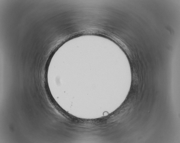 X0000111210485200908121135