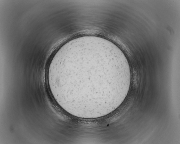 X0000111210486200908121135