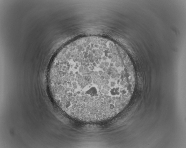 X0000111210487200908121135