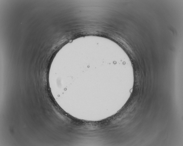 X0000111210489200908121135