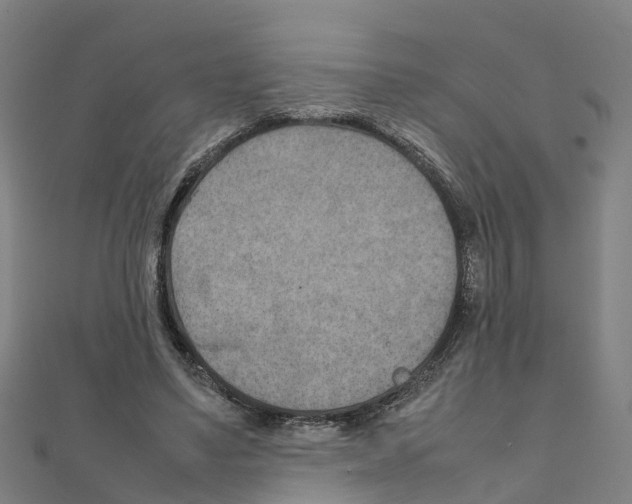 X0000111210491200908121135