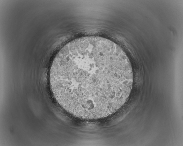 X0000111210495200908121135