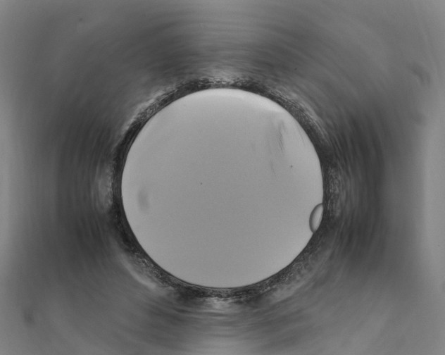 X0000111210496200908121135