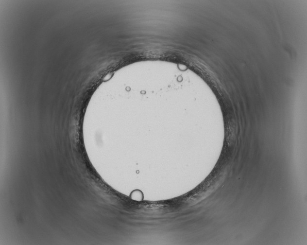 X0000111210497200908121135