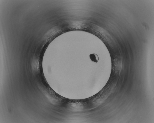 X0000111210500200908121135