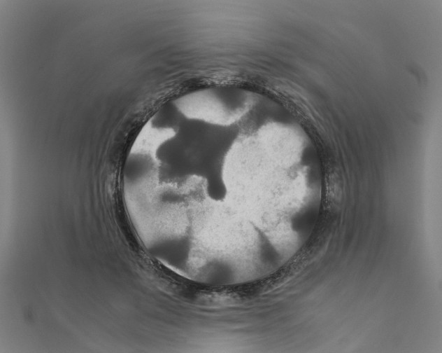 X0000111210503200908121135