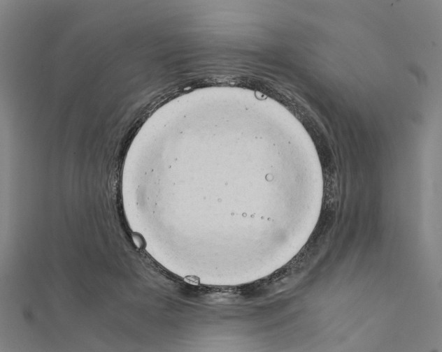 X0000111210505200908121135