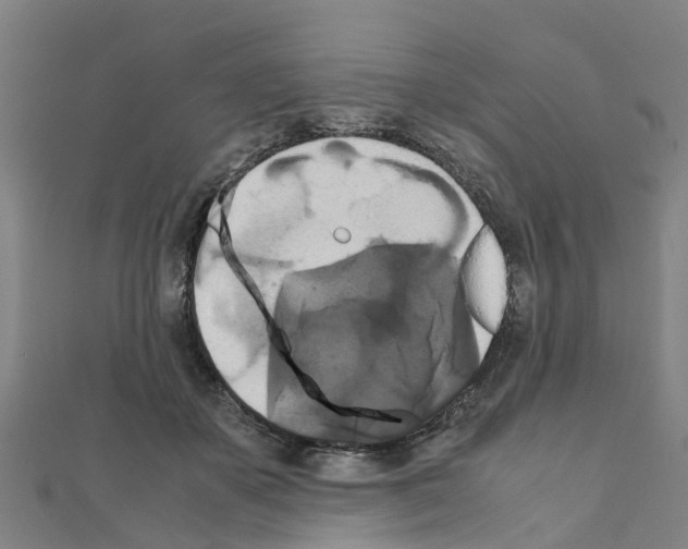 X0000111210507200908121135