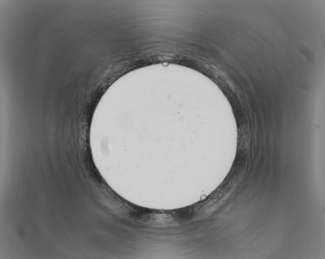 X0000111210509200908121135