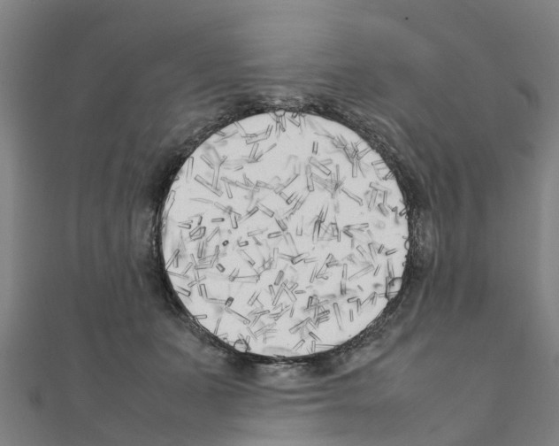 X0000111210511200908121135