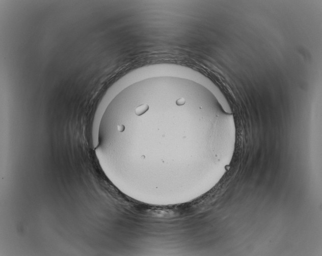 X0000111210512200908121135