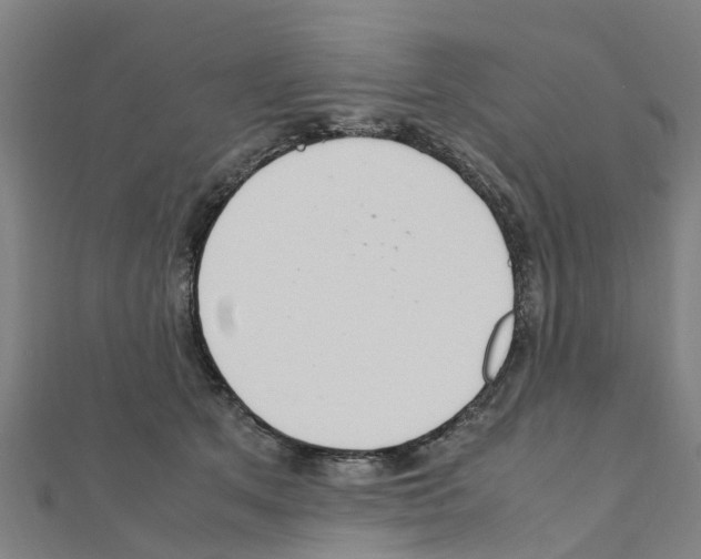 X0000111210513200908121135