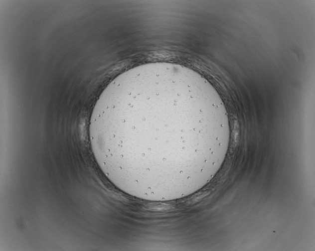 X0000111210514200908121135