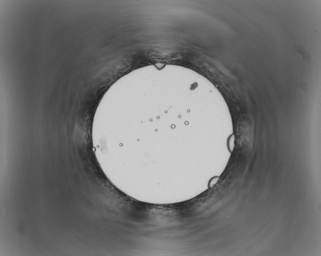 X0000111210515200908121135