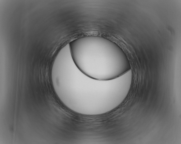 X0000111210516200908121135