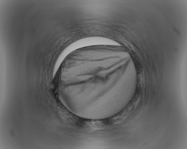 X0000111210517200908121135