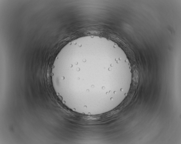 X0000111210518200908121135