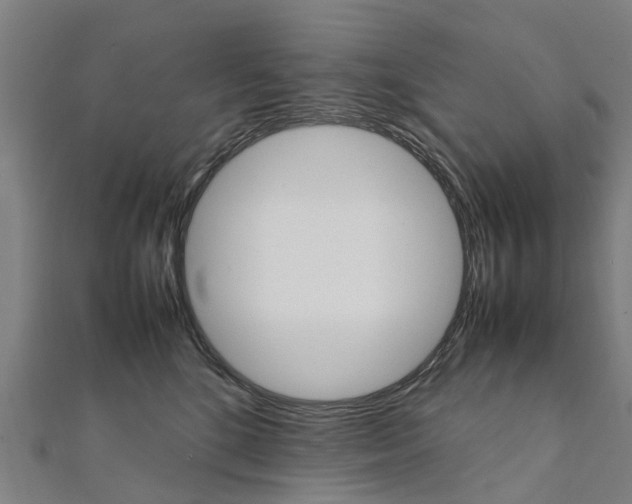 X0000111210520200908121135