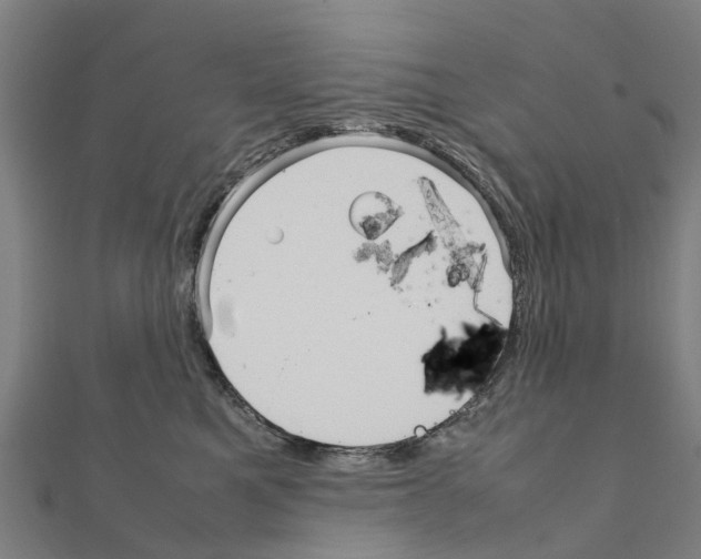 X0000111210521200908121135