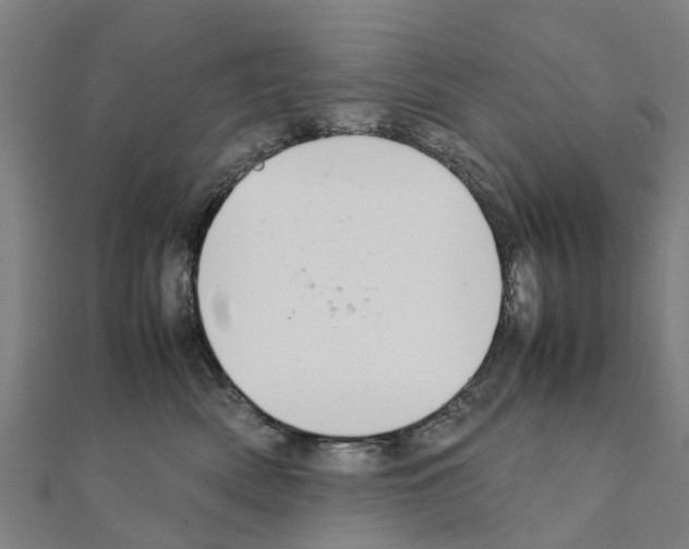 X0000111210522200908121135