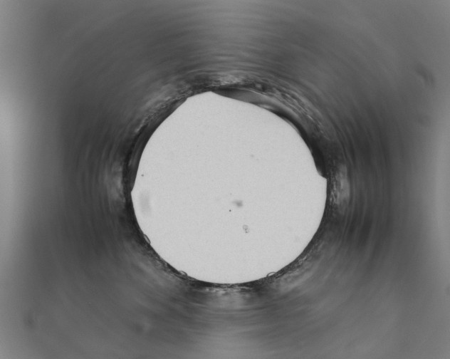 X0000111210524200908121135