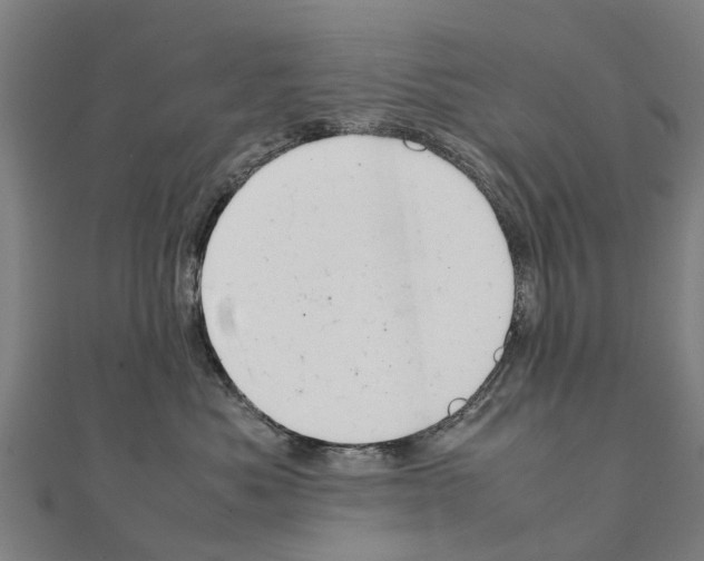 X0000111210525200908121135