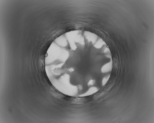 X0000111210527200908121135