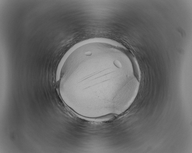 X0000111210528200908121135